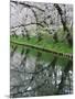 Cherry Trees and Blossoms Reflected in Outer Moat of Hirosaki Park, Hirosaki, Japan-null-Mounted Photographic Print