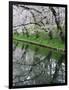 Cherry Trees and Blossoms Reflected in Outer Moat of Hirosaki Park, Hirosaki, Japan-null-Framed Photographic Print