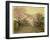 Cherry Trees are in Blossom in Spring in This Japanese Village Street-null-Framed Photographic Print