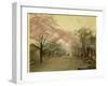 Cherry Trees are in Blossom in Spring in This Japanese Village Street-null-Framed Photographic Print