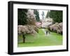 Cherry Trees Blossoming in the Spring, Washington Park Arboretum, Seattle, Washington, USA-Jamie & Judy Wild-Framed Premium Photographic Print