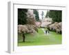 Cherry Trees Blossoming in the Spring, Washington Park Arboretum, Seattle, Washington, USA-Jamie & Judy Wild-Framed Premium Photographic Print