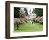 Cherry Trees Blossoming in the Spring, Washington Park Arboretum, Seattle, Washington, USA-Jamie & Judy Wild-Framed Photographic Print