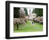 Cherry Trees Blossoming in the Spring, Washington Park Arboretum, Seattle, Washington, USA-Jamie & Judy Wild-Framed Photographic Print