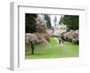 Cherry Trees Blossoming in the Spring, Washington Park Arboretum, Seattle, Washington, USA-Jamie & Judy Wild-Framed Photographic Print