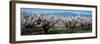 Cherry Trees in a Field with Mont Ventoux in the Background, Provence-Alpes-Cote D'Azur, France-null-Framed Premium Photographic Print