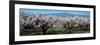 Cherry Trees in a Field with Mont Ventoux in the Background, Provence-Alpes-Cote D'Azur, France-null-Framed Photographic Print