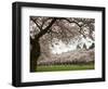 Cherry Trees in Bloom at the Quad, University of Washington, Seattle, Washington, USA-Jamie & Judy Wild-Framed Photographic Print