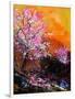 Cherry Trees in Blossom-Pol Ledent-Framed Art Print