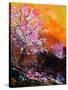 Cherry Trees in Blossom-Pol Ledent-Stretched Canvas