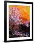 Cherry Trees in Blossom-Pol Ledent-Framed Art Print