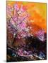 Cherry Trees in Blossom-Pol Ledent-Mounted Art Print