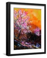 Cherry Trees in Blossom-Pol Ledent-Framed Art Print