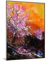 Cherry Trees in Blossom-Pol Ledent-Mounted Art Print