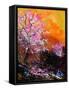 Cherry Trees in Blossom-Pol Ledent-Framed Stretched Canvas