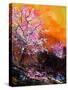 Cherry Trees in Blossom-Pol Ledent-Stretched Canvas