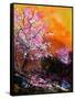 Cherry Trees in Blossom-Pol Ledent-Framed Stretched Canvas