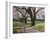 Cherry Trees on University of Washington Campus, Seattle, Washington, USA-Charles Sleicher-Framed Photographic Print