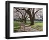 Cherry Trees on University of Washington Campus, Seattle, Washington, USA-Charles Sleicher-Framed Photographic Print