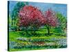 Cherry Trees, Snug Harbor Botanical Garden,2016-Anthony Butera-Stretched Canvas