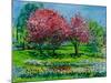 Cherry Trees, Snug Harbor Botanical Garden,2016-Anthony Butera-Mounted Giclee Print