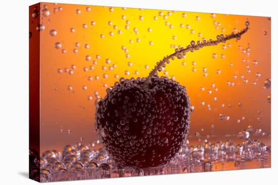 Cherry Underwater-Gordon Semmens-Stretched Canvas