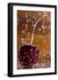 Cherry Underwater-Gordon Semmens-Framed Photographic Print