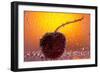 Cherry Underwater-Gordon Semmens-Framed Photographic Print