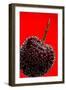 Cherry Underwater-Gordon Semmens-Framed Photographic Print