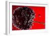 Cherry Underwater-Gordon Semmens-Framed Photographic Print