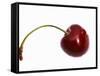 Cherry with Drops of Water-Dieter Heinemann-Framed Stretched Canvas