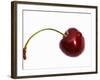 Cherry with Drops of Water-Dieter Heinemann-Framed Photographic Print