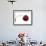 Cherry with Drops of Water-Dieter Heinemann-Framed Photographic Print displayed on a wall