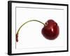 Cherry with Drops of Water-Dieter Heinemann-Framed Photographic Print