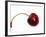 Cherry with Drops of Water-Dieter Heinemann-Framed Photographic Print