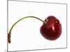 Cherry with Drops of Water-Dieter Heinemann-Mounted Photographic Print