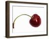 Cherry with Drops of Water-Dieter Heinemann-Framed Photographic Print