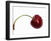 Cherry with Drops of Water-Dieter Heinemann-Framed Photographic Print