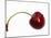 Cherry with Drops of Water-Dieter Heinemann-Mounted Photographic Print