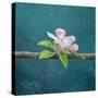 cherry-Viviane Fedieu Danielle-Stretched Canvas