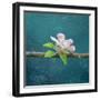 cherry-Viviane Fedieu Danielle-Framed Premium Photographic Print