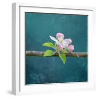 cherry-Viviane Fedieu Danielle-Framed Photographic Print