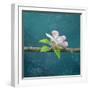 cherry-Viviane Fedieu Danielle-Framed Photographic Print