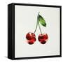 Cherry-Sydney Edmunds-Framed Stretched Canvas