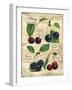 Cherry-Kate Ward Thacker-Framed Giclee Print