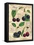 Cherry-Kate Ward Thacker-Framed Stretched Canvas