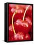 Cherrys-Herbert Kehrer-Framed Stretched Canvas