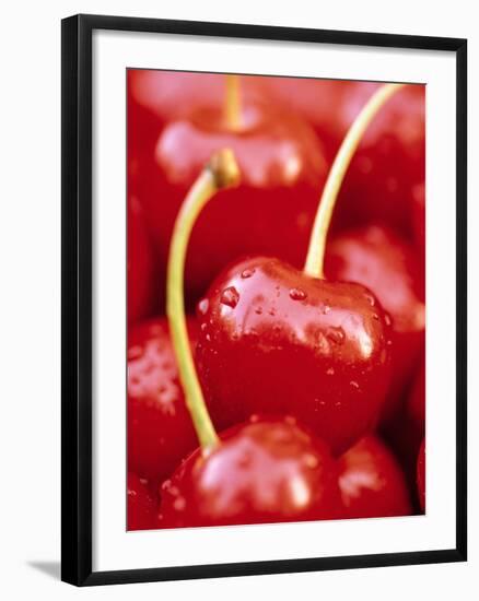 Cherrys-Herbert Kehrer-Framed Photographic Print