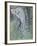 Cherubin-Amedeo Modigliani-Framed Giclee Print