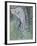 Cherubin-Amedeo Modigliani-Framed Giclee Print